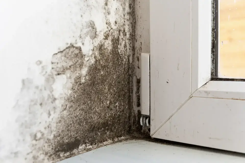 water damage restoration in Herriman, UT